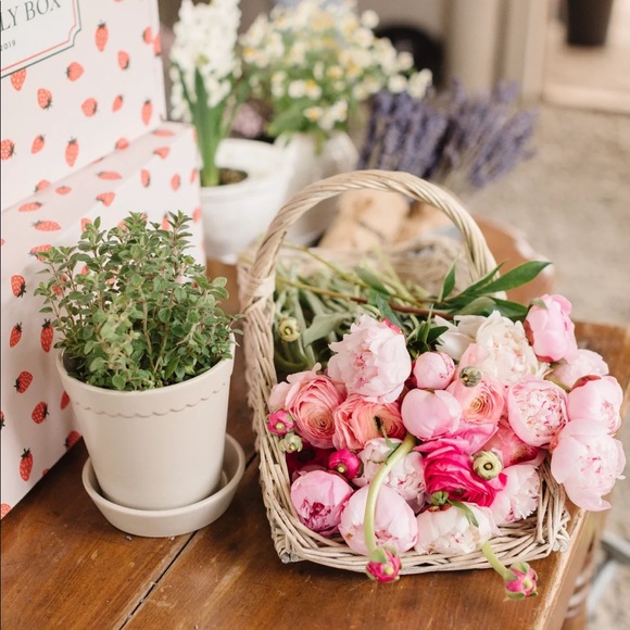 *Summer 🌞 2022 Jilly ❤️ Box Items - Picture 4 of 5